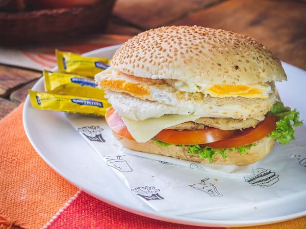 X Hamburguer De Frango