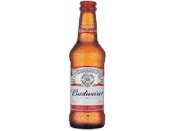 Cerveja Long Neck