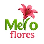 Melo Flores / Perdizes