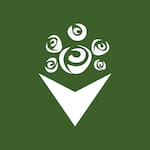 Bom Buquê Flores Chocolates e Presentes