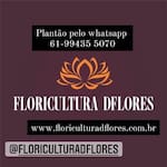 Floricultura Dflores Sobradinho - Df