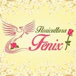 Floricultura Fênix Cestas e Presentes