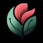 Teleflores Floricultura Goiânia